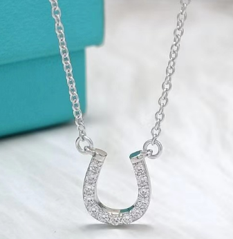 [N0085-2] Collar Tiffany Herradura Pavé Plateada