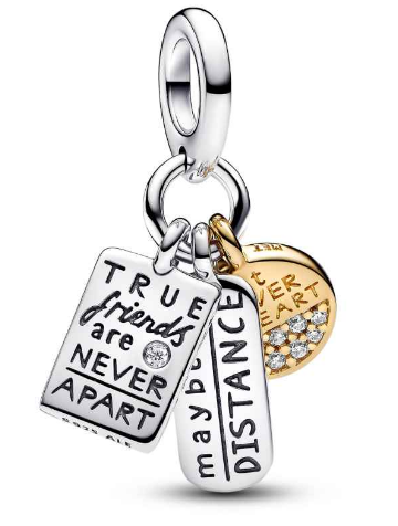 [763436C01] Charm Pandora Placas Amistad Verdadera Plata y Oro