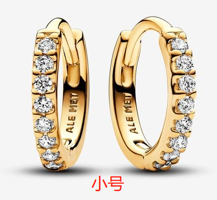[EH-504] Aretes Pandora aro pequeño dorado circonias
